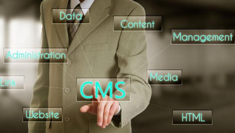 The Role of Content Management Systems in Website Development