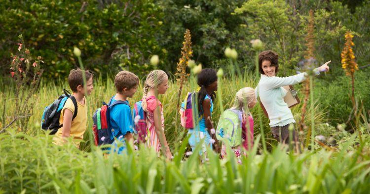 The Benefits of Spending Time in Nature for Children