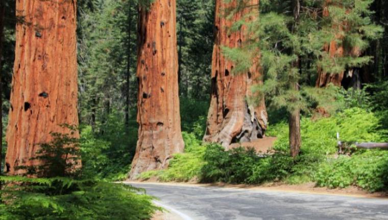 Top National Parks to Visit Around the World