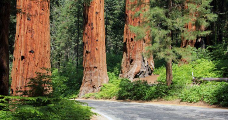 Top National Parks to Visit Around the World