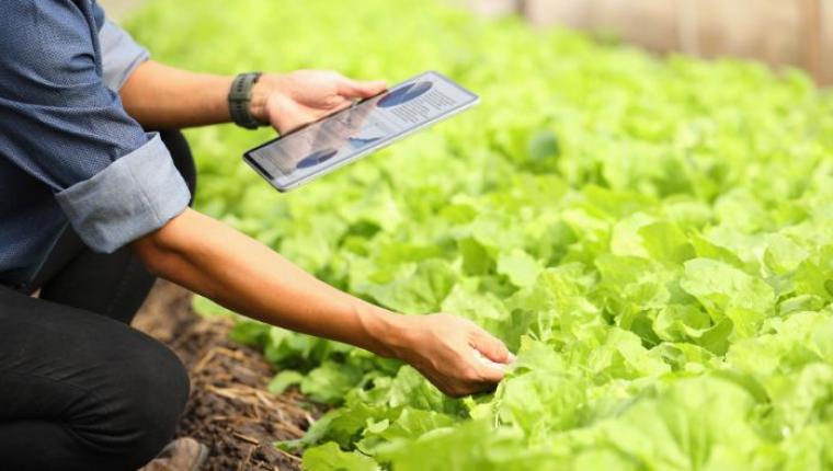 Cultivating Customer Loyalty for Business Growth