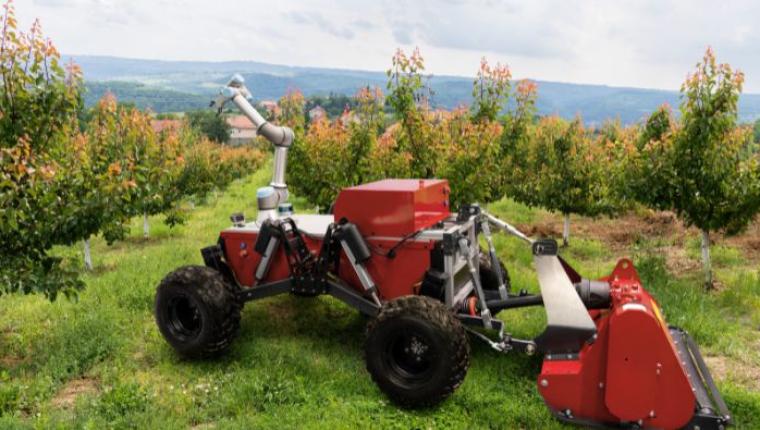 How AI and IoT Are Transforming Modern Agriculture