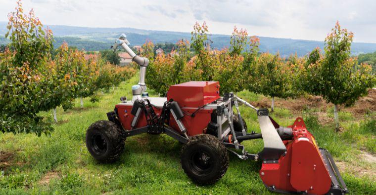 How AI and IoT Are Transforming Modern Agriculture