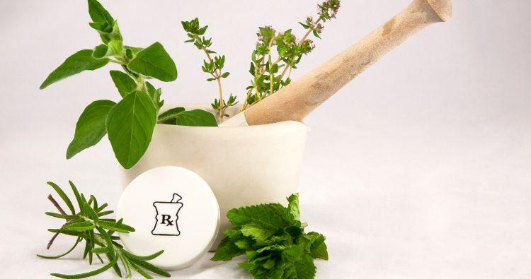 Medicinal Plants: Nature’s Pharmacy