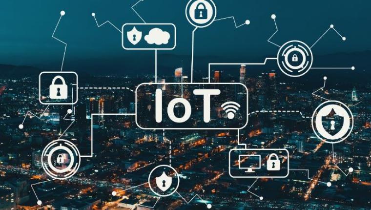 IoT Security: Safeguarding the Smart Home