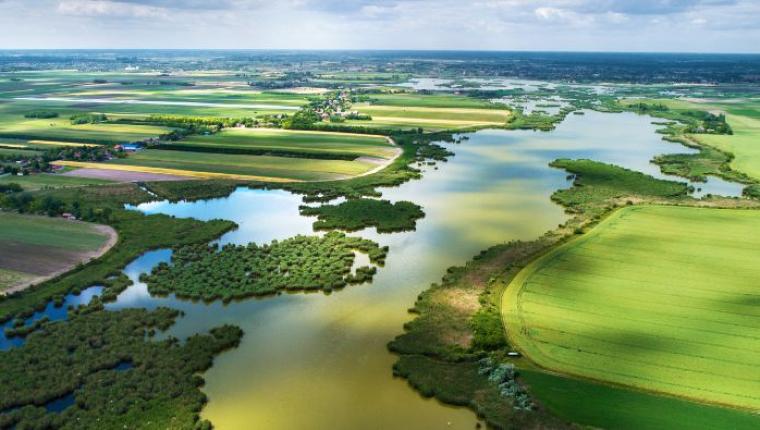 The Importance of Biodiversity: How Every Species Plays a Role in Our Ecosystem