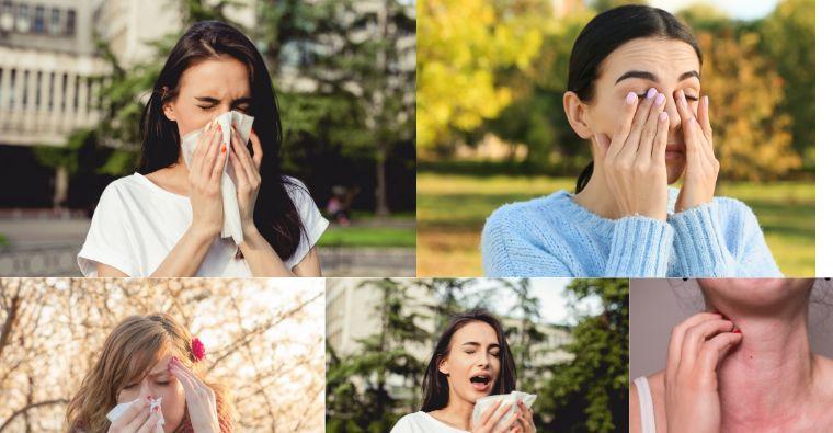 Understanding and Managing Seasonal Allergies