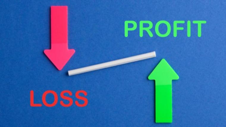 Sustainable Innovation: Balancing Profit and Planet