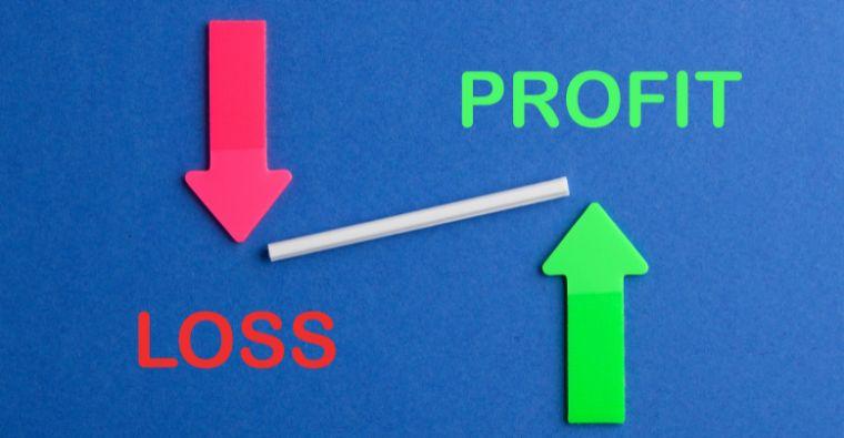Sustainable Innovation: Balancing Profit and Planet