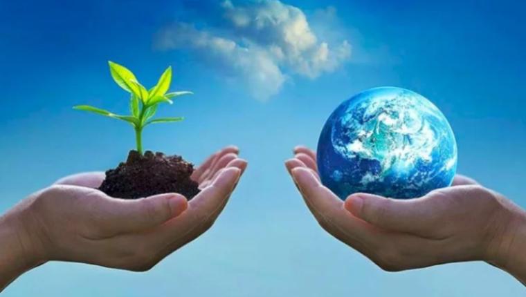 Nature: Understanding Its Importance and Our Responsibility to Protect It