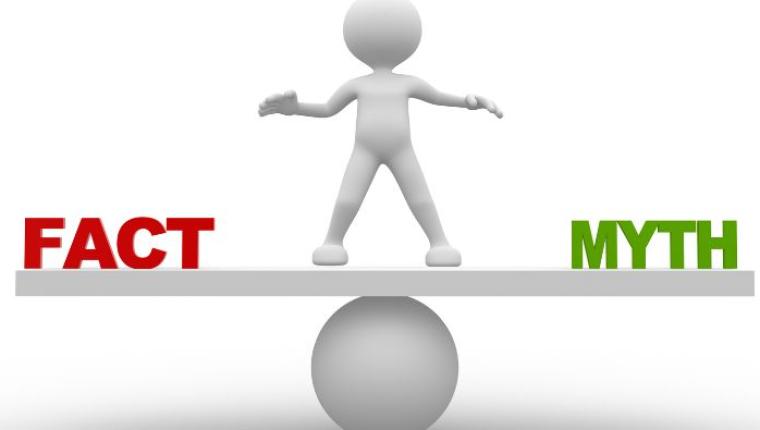 Parenting Myths: Debunking Common Misconceptions