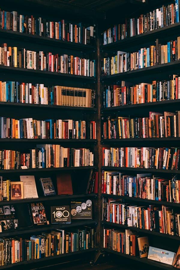 Classic Novels That Deserve a Revisit: Timeless Stories for Every Generation