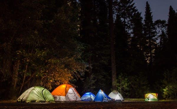Nature’s Nightlife