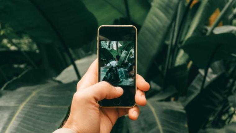 Smartphone Photography: Tips for Capturing Stunning Images