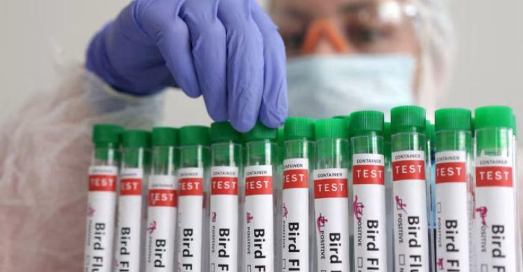 Surge in Human Bird Flu Cases Across the U.S.