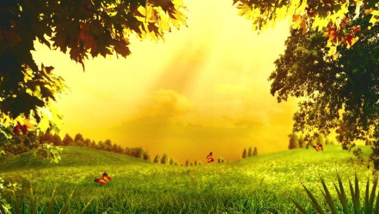 Mia's Magical Garden Journey