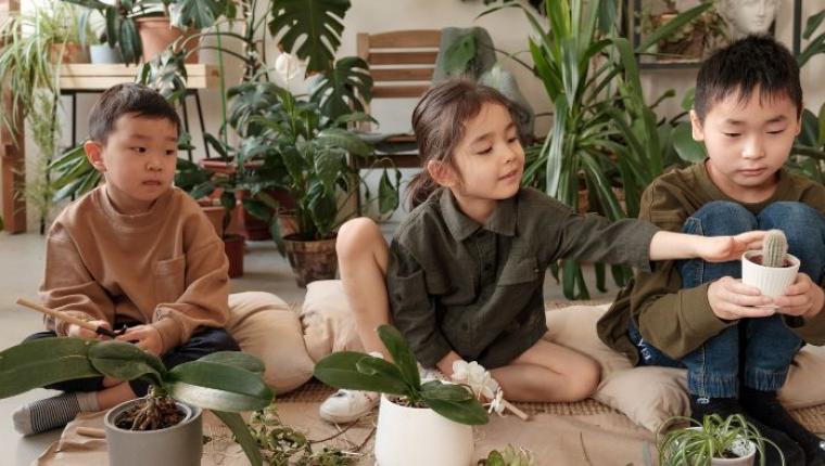 How to Get Kids Excited About Nature