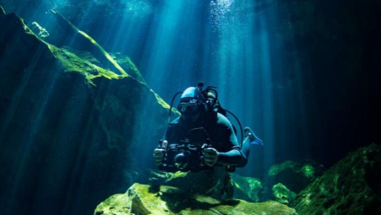 Exploring Underwater Nature: A Deep Dive into Ocean Wonders